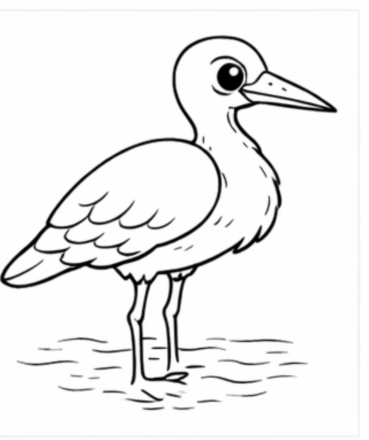 Stork