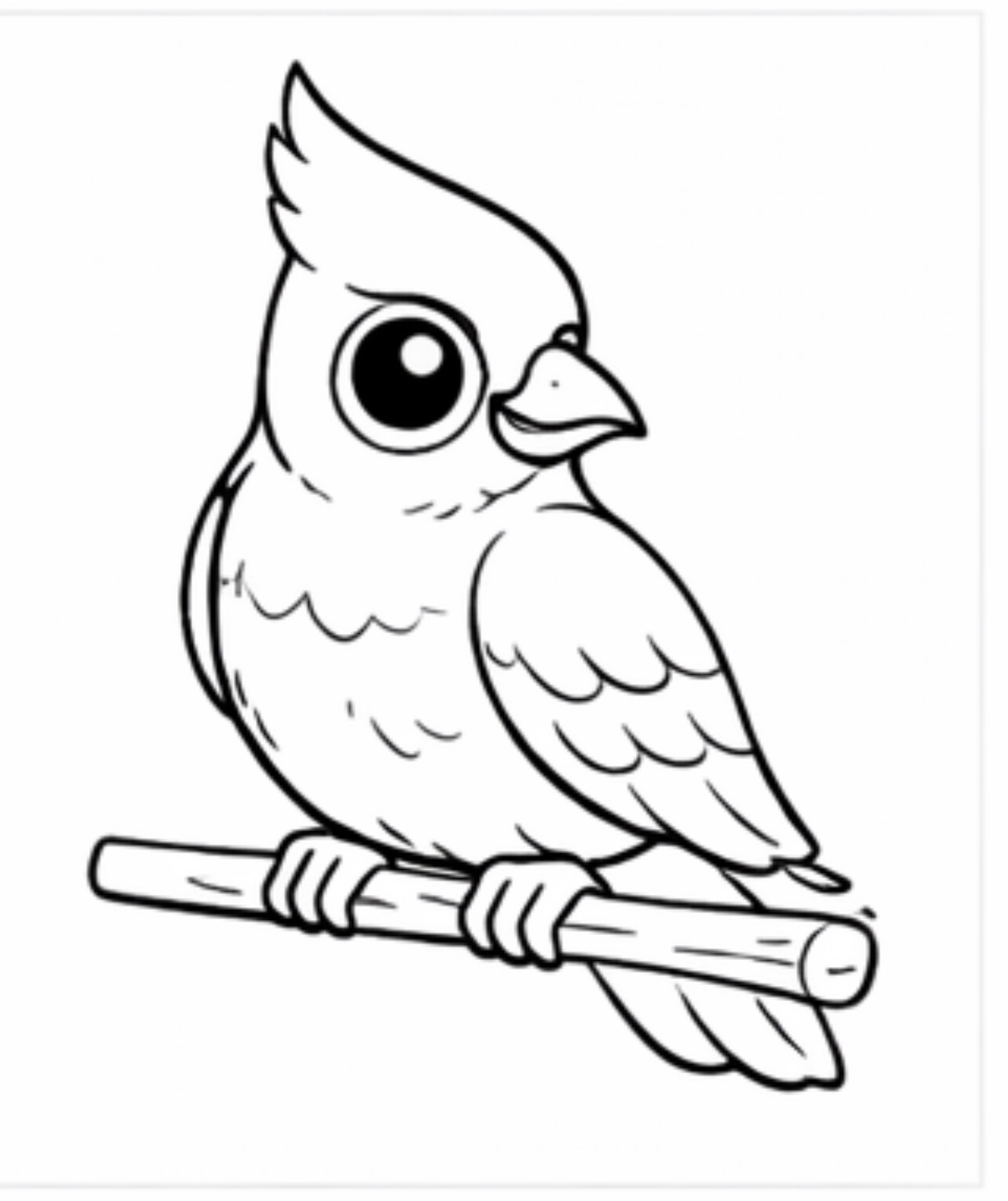 Cockatoo on a Branch