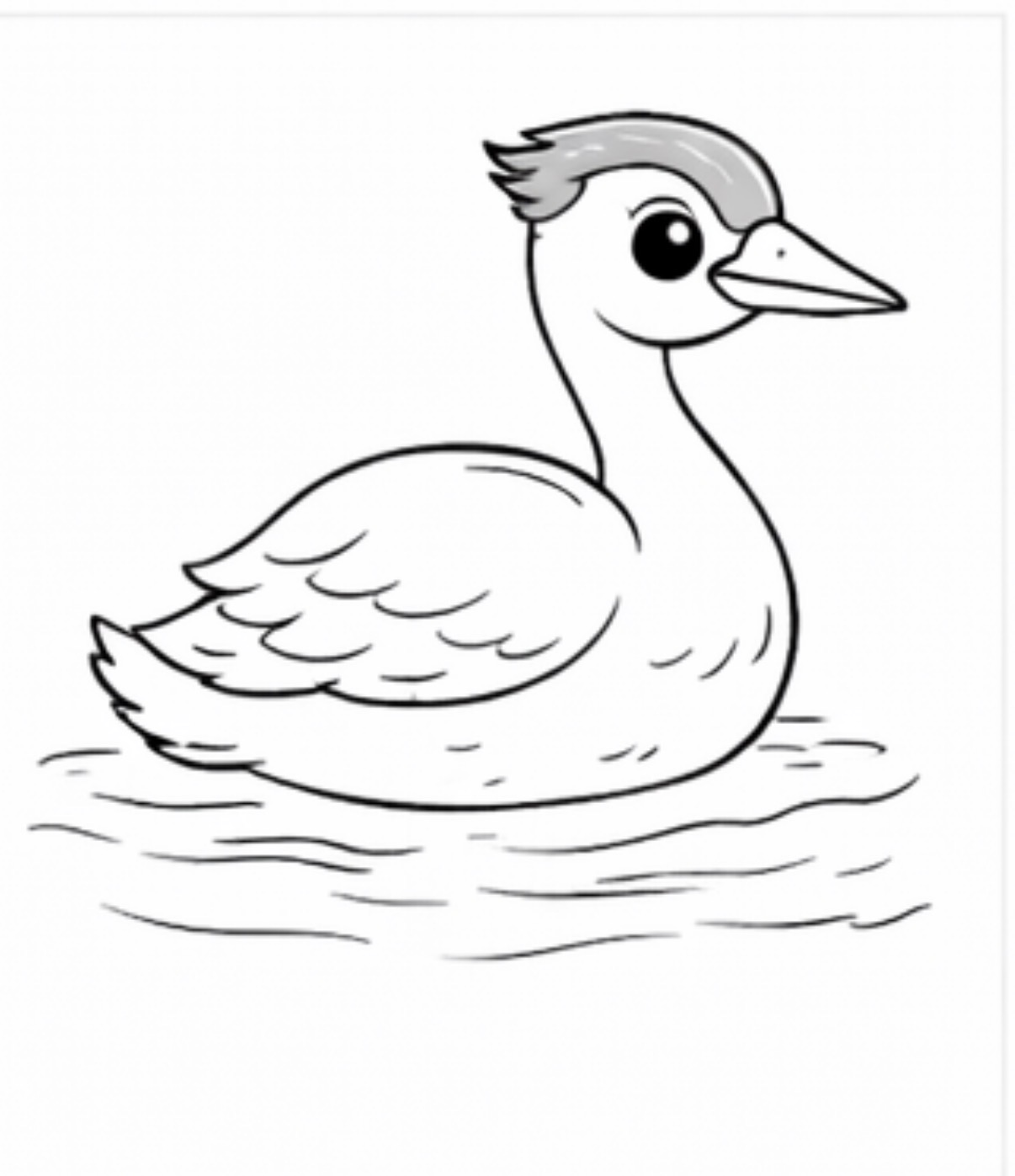 Duck on the Water