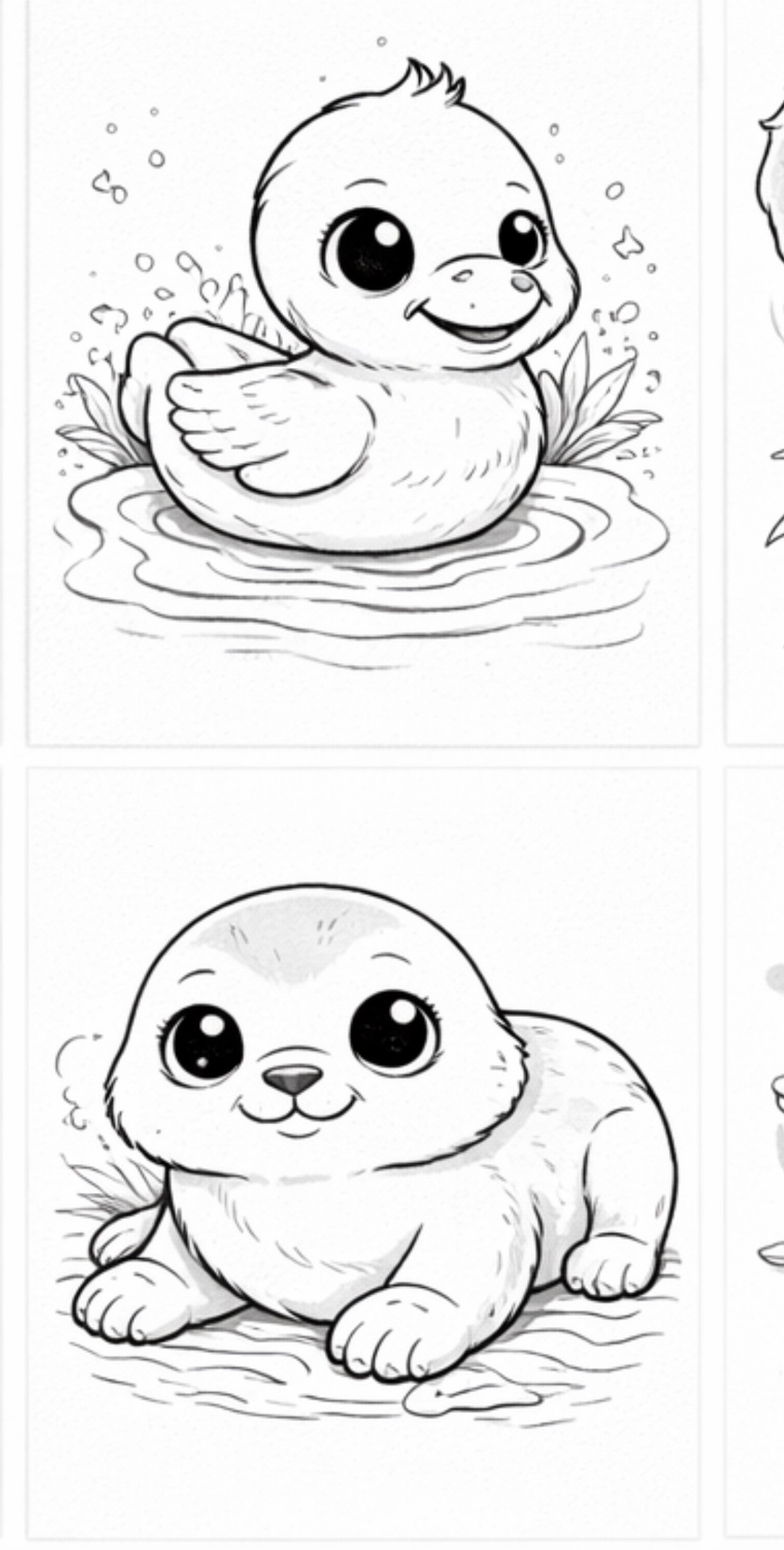 Duckling and Seal Pair