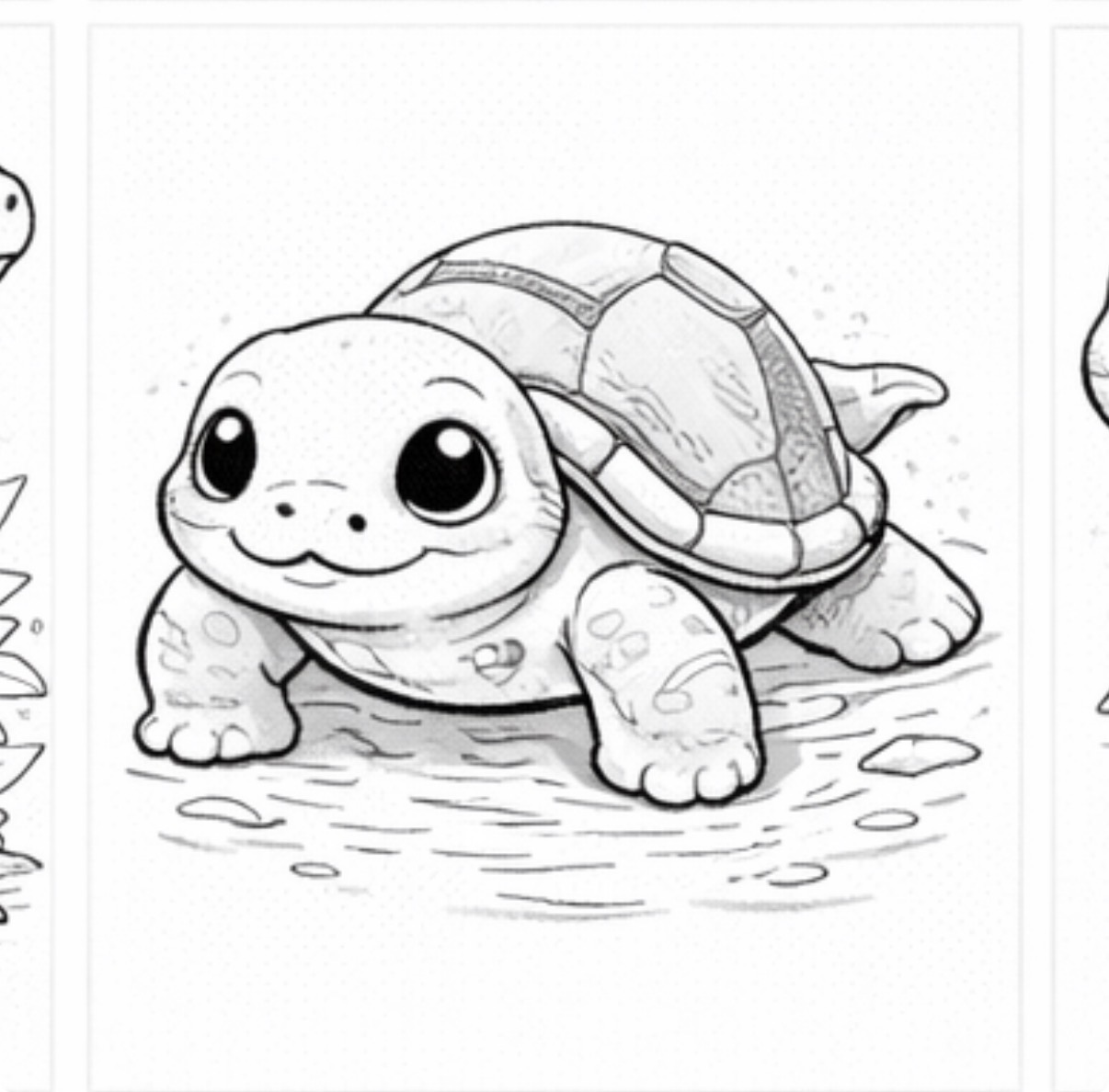 Tortoise on a Rock