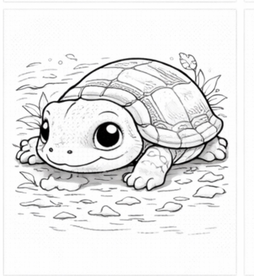 Tortoise Walking