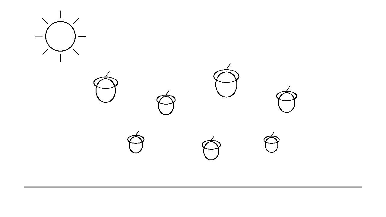 Acorn Cap Collection Coloring Page
