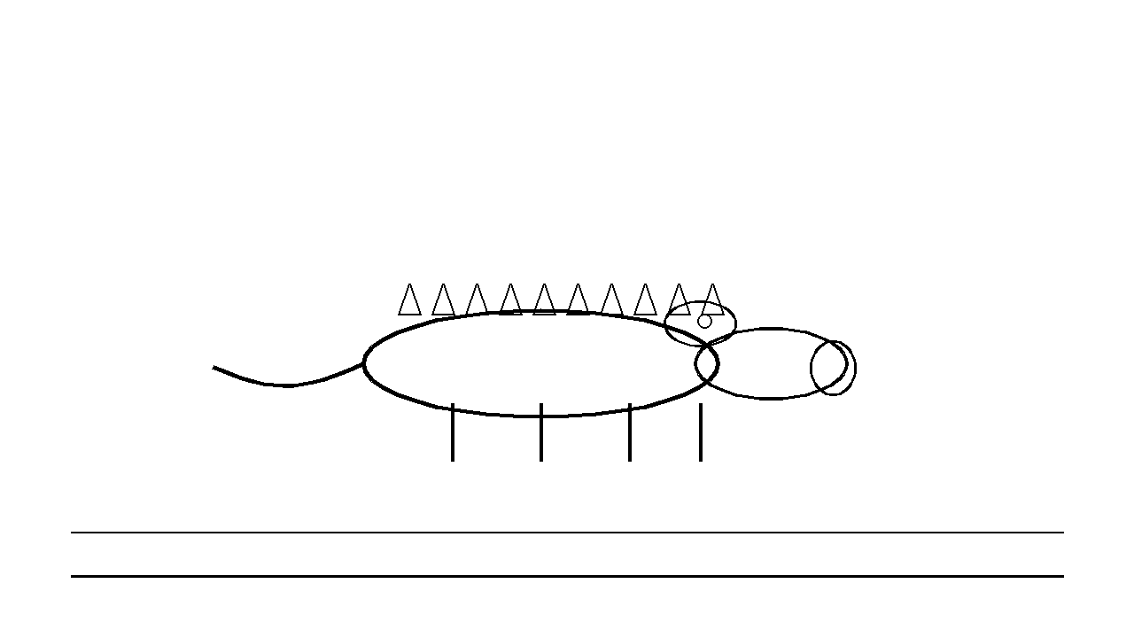 Alligator Wetland Coloring Page