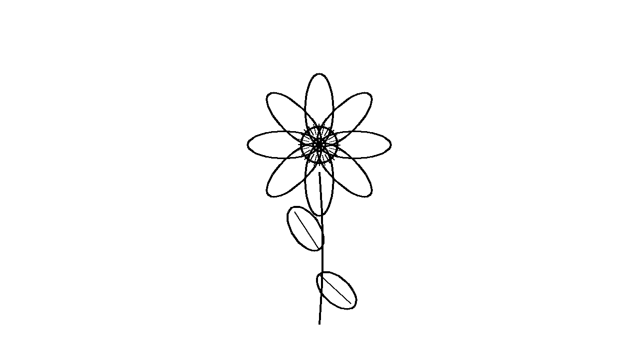 Anemone Wind Flower