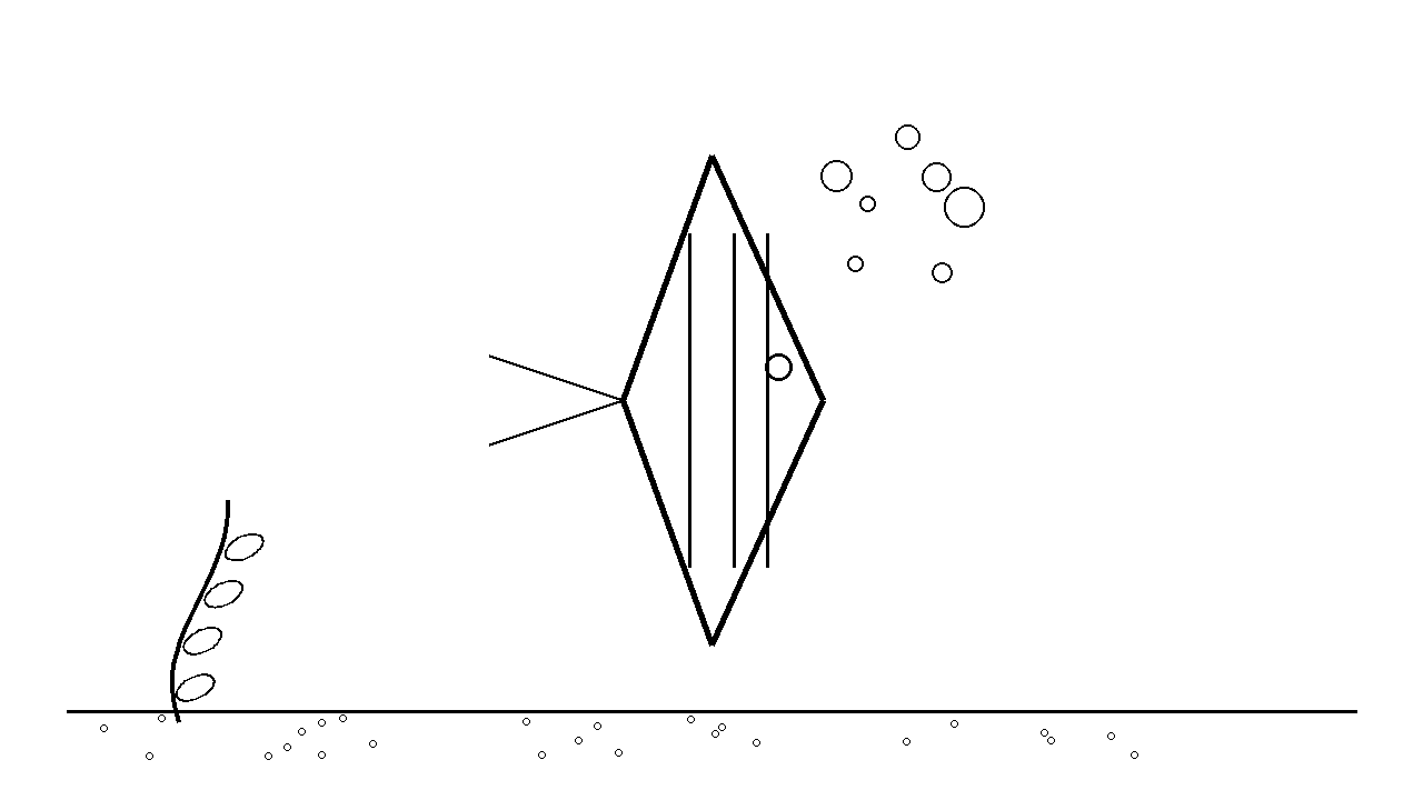 Angelfish Tropical Coloring Page