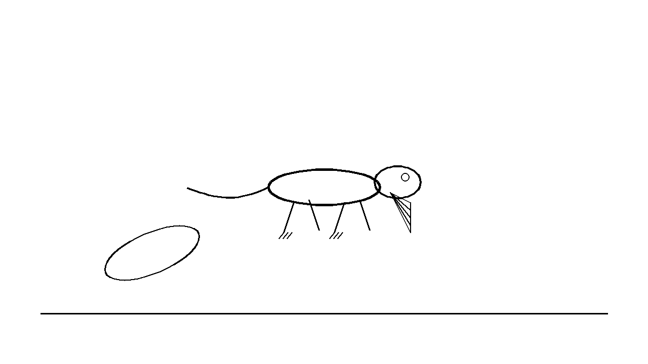 Anole Lizard Coloring Page