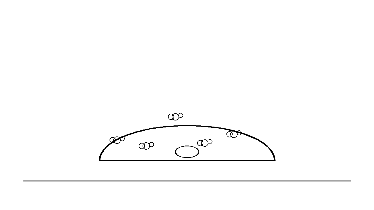 Ant Hill Colony Coloring Page