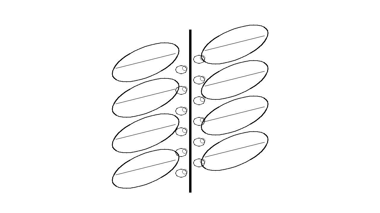 Aphids On Plant Coloring Page