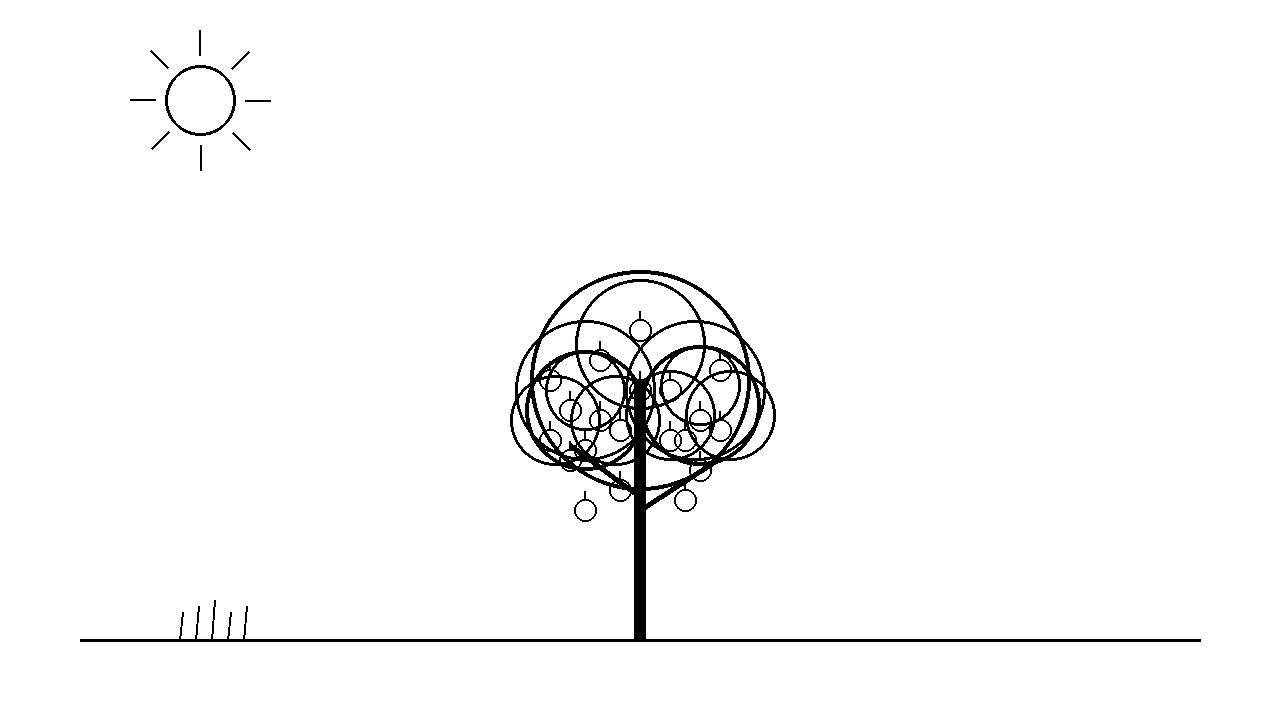 Apple Orchard Tree Coloring Page