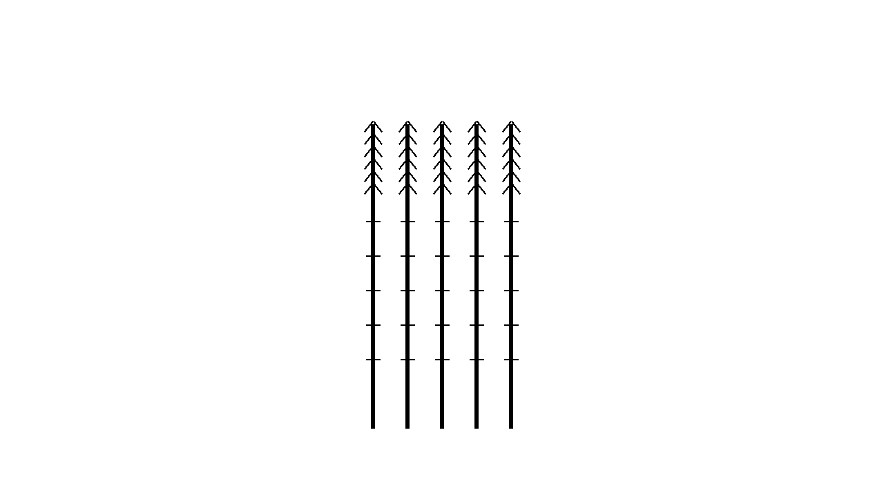 Asparagus Spears Bundle Coloring Page