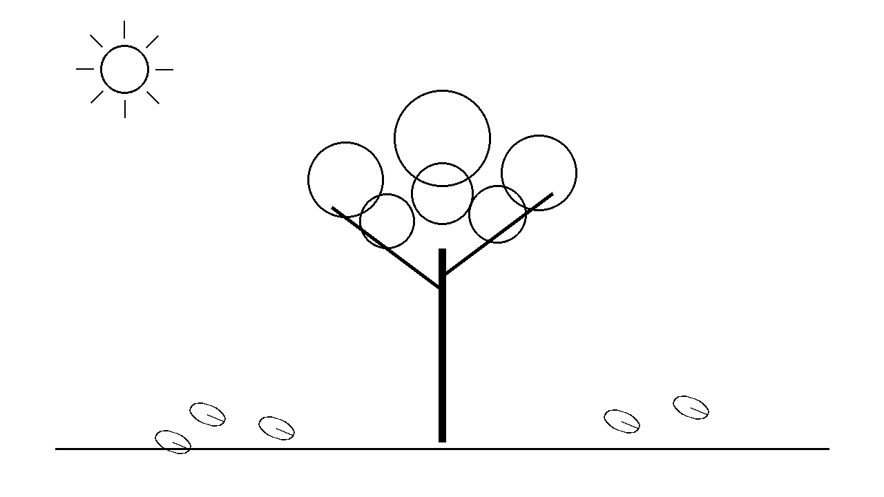 Autumn Maple Tree Coloring Page