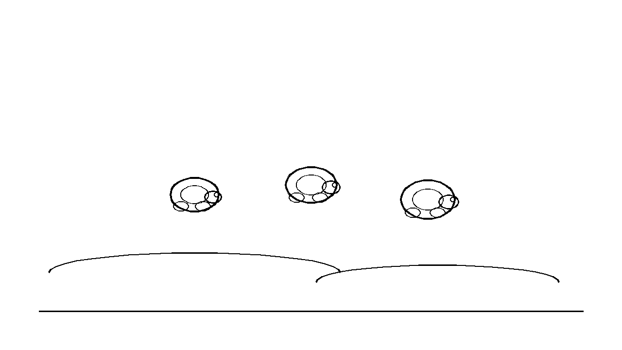 Baby Turtle Hatchling Coloring Page