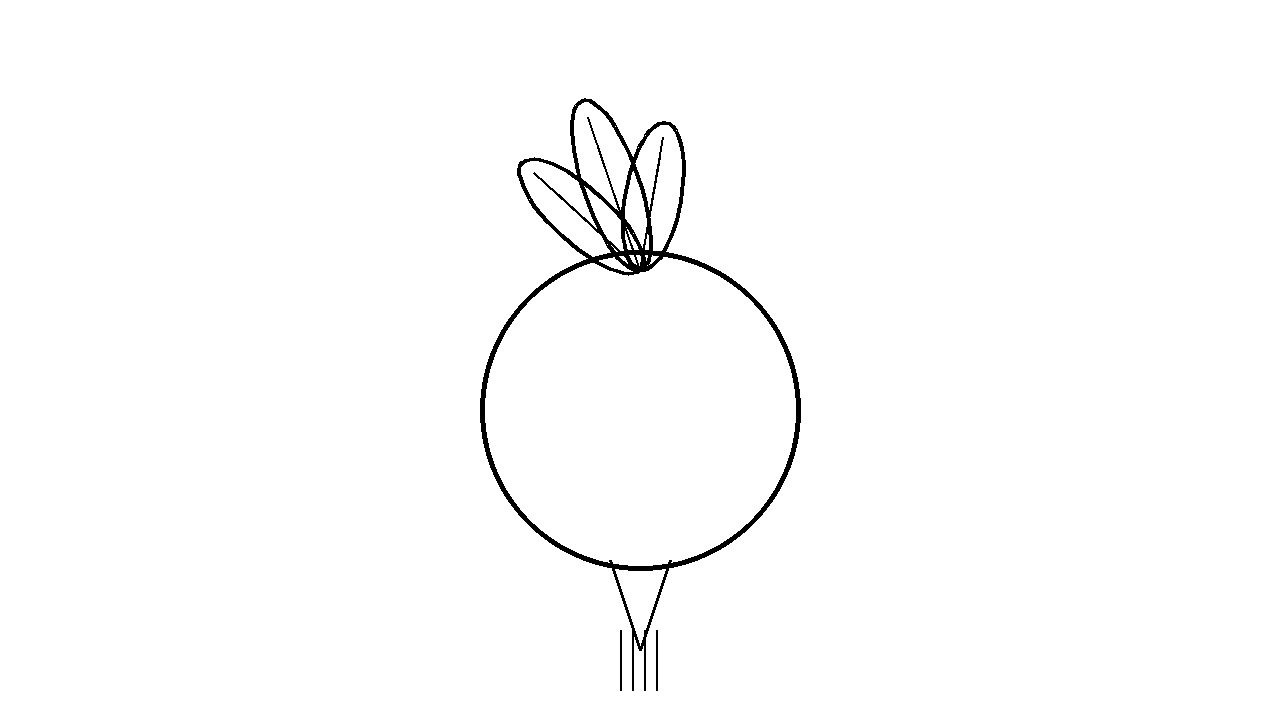 Beetroot With Leaves Coloring Page