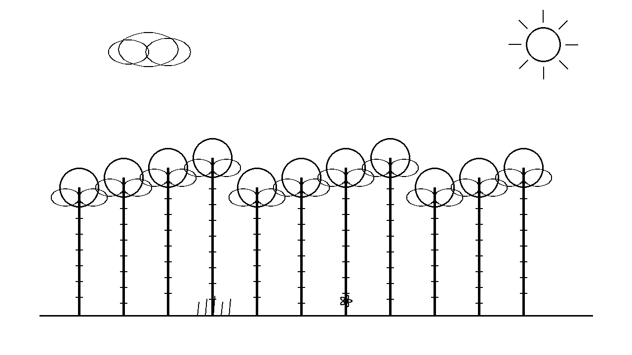 Birch Tree Grove Coloring Page