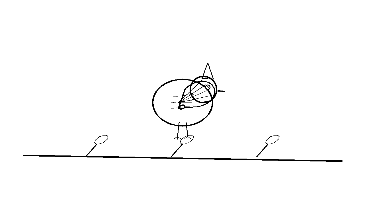 Blue Jay Bird Coloring Page