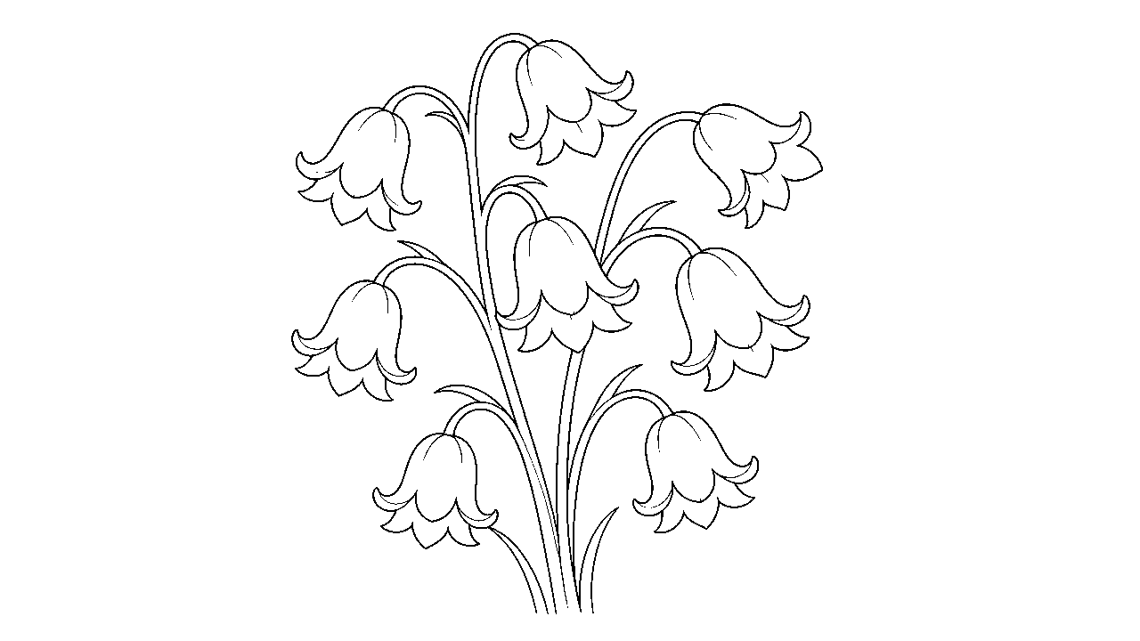Bluebell Cluster