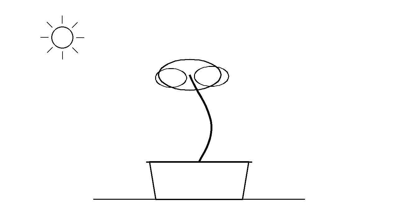 Bonsai Pot Tree Coloring Page