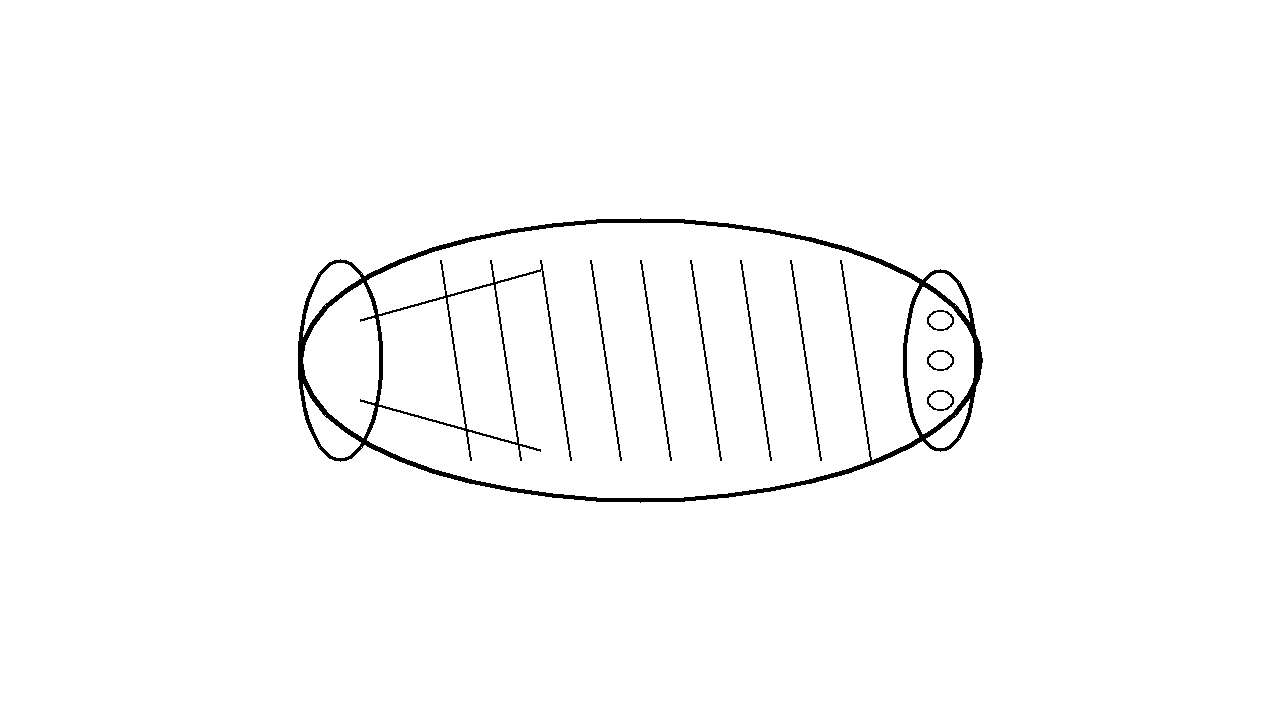 Burrito Wrap Coloring Page