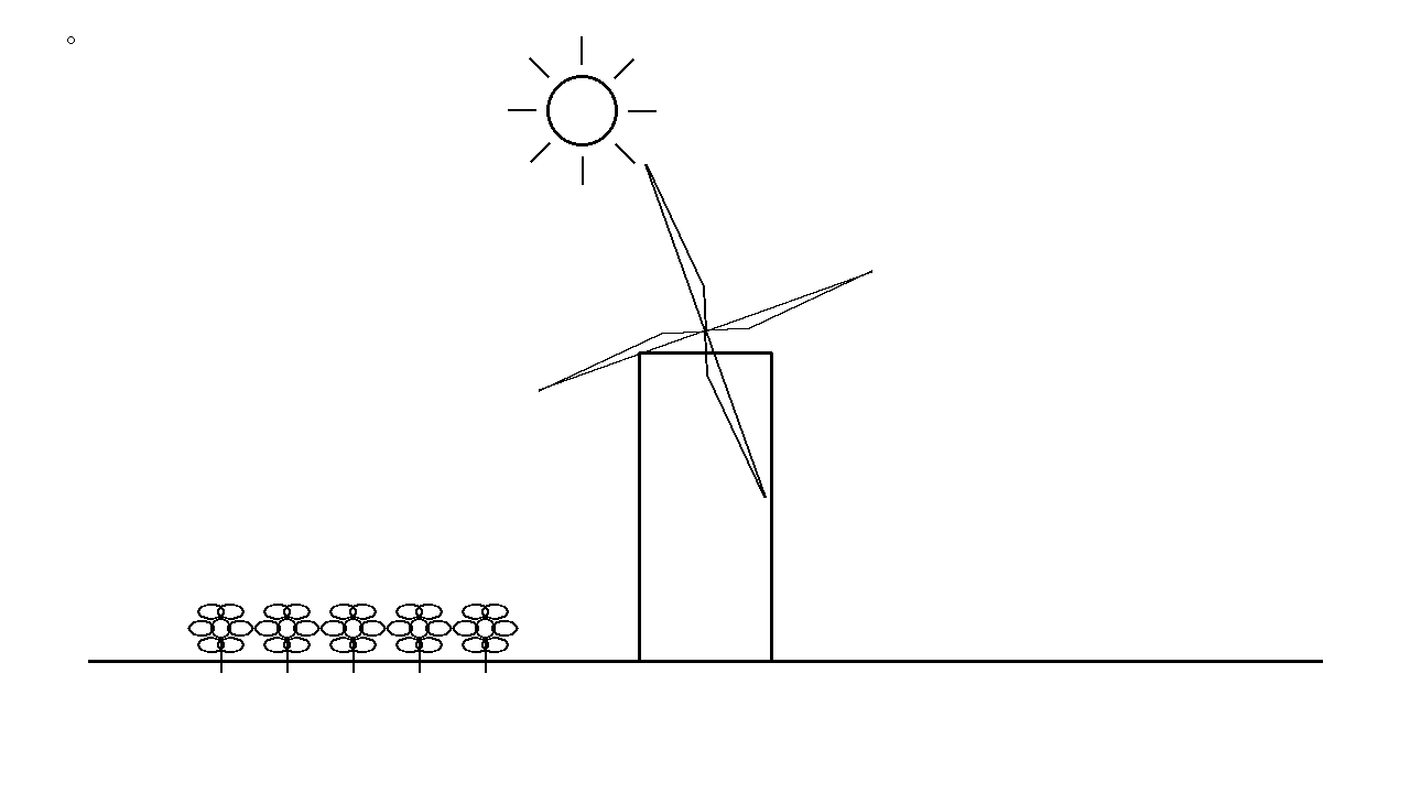 Cactus Desert Bloom Coloring Page