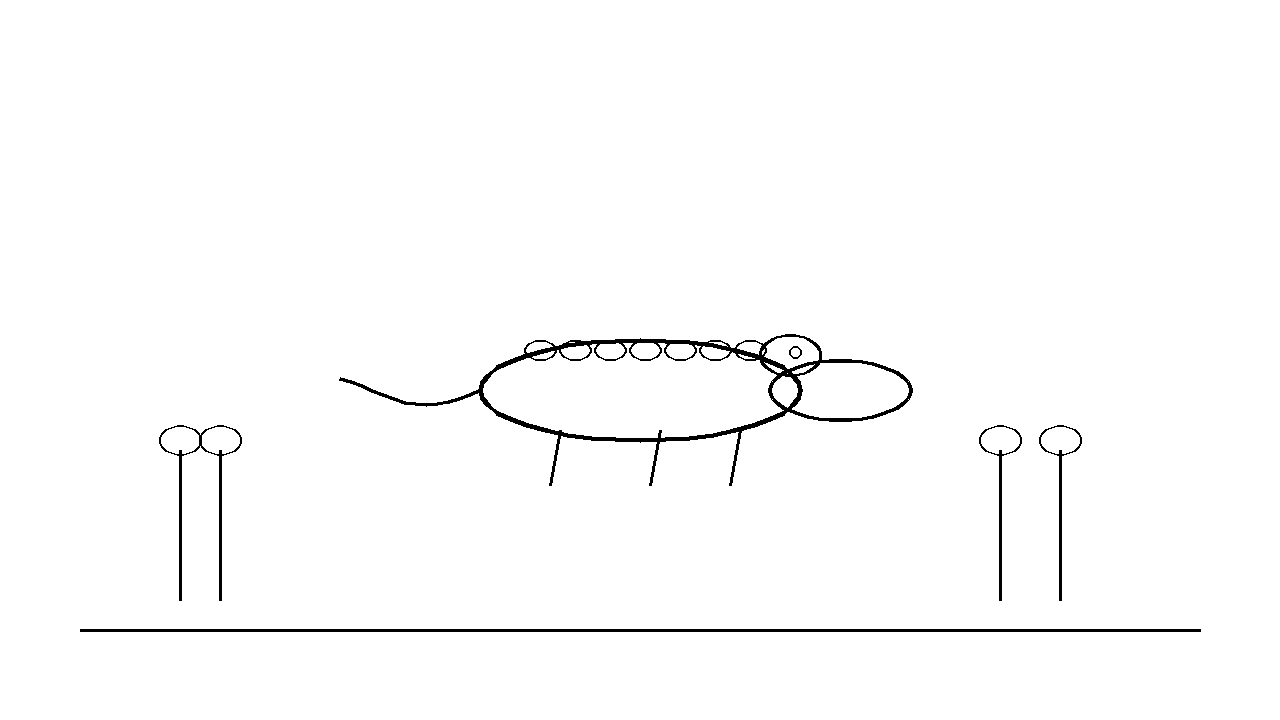Caiman Reptile Coloring Page