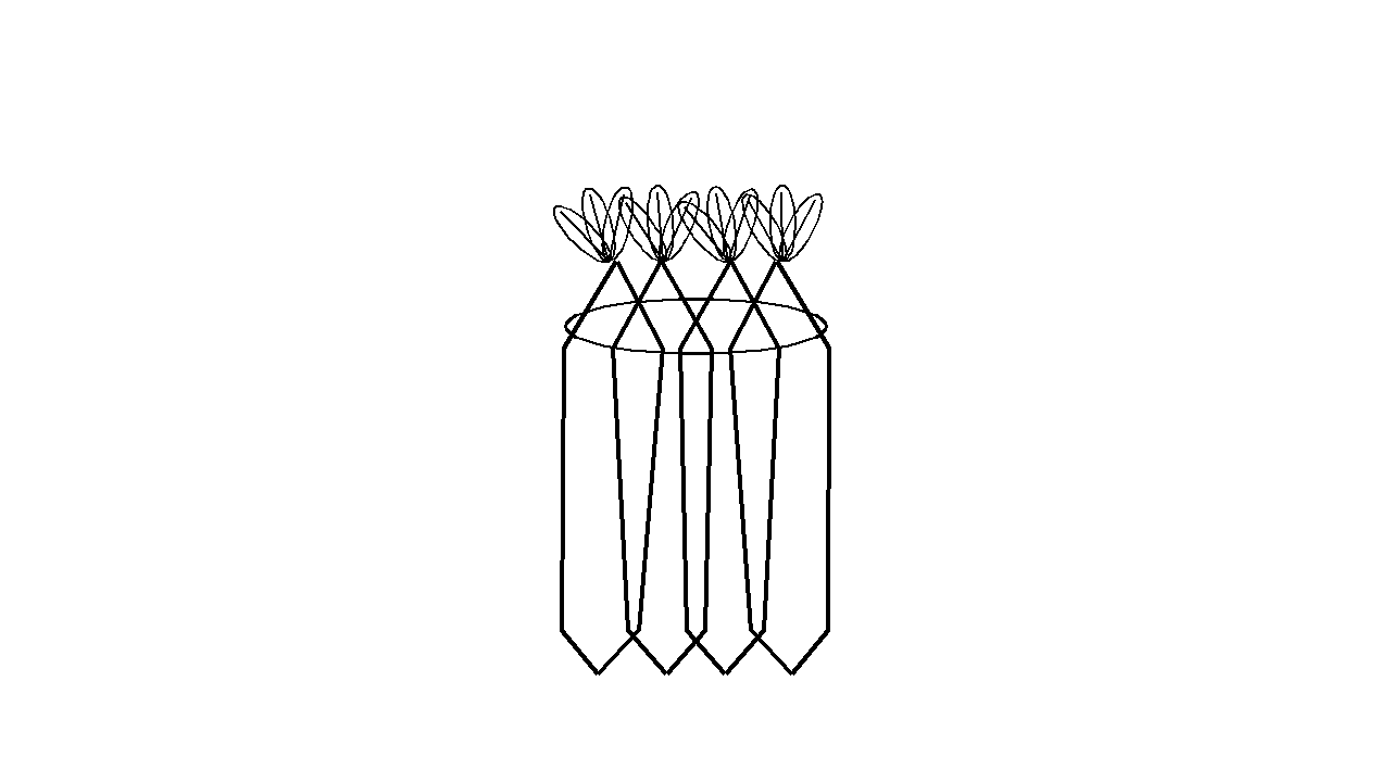 Carrot Bunch Tied Coloring Page