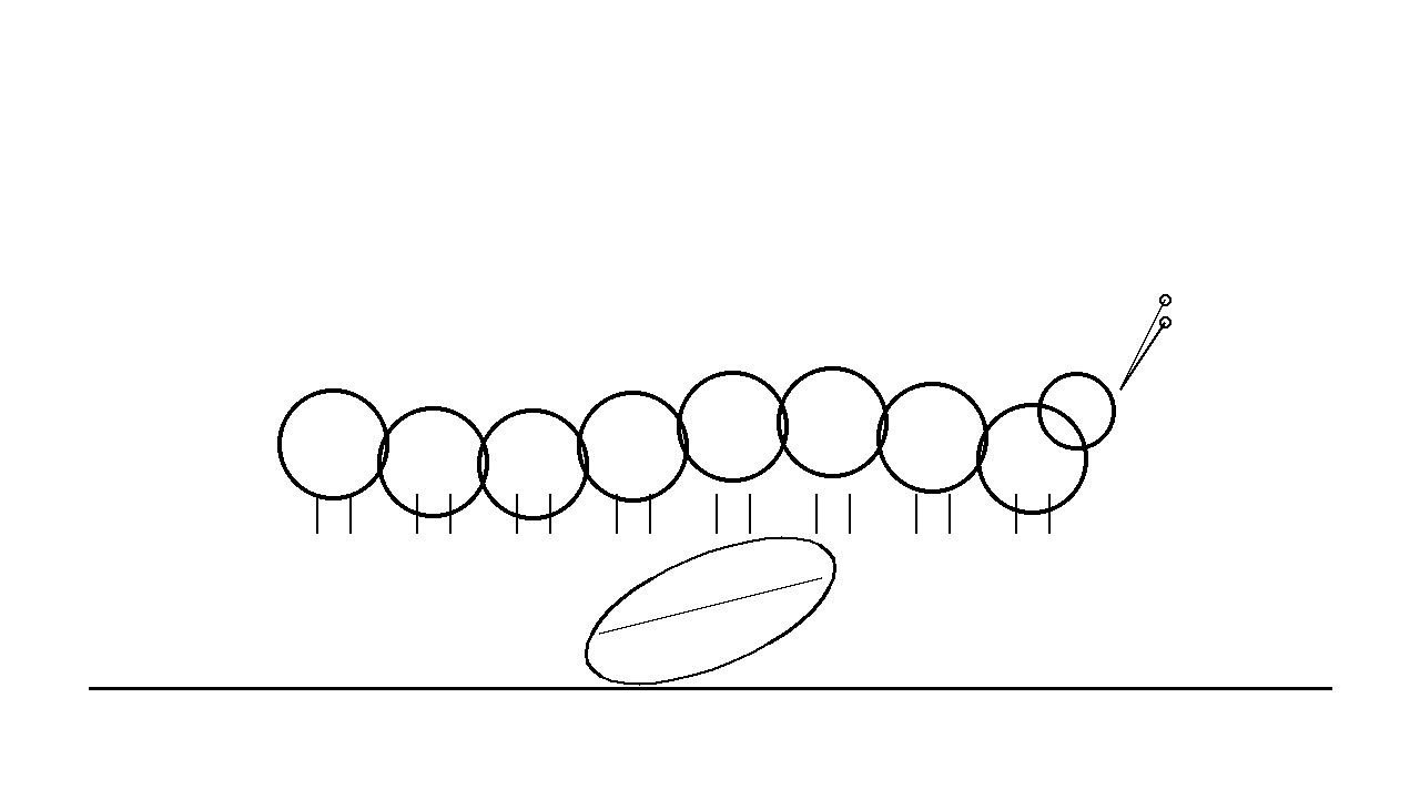 Caterpillar On Leaf Coloring Page