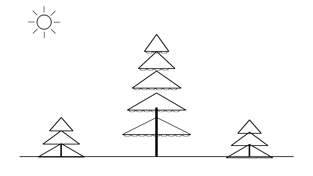 Cedar Tiered Tree Coloring Page