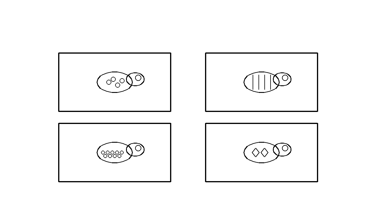 Chameleon Color Panels Coloring Page