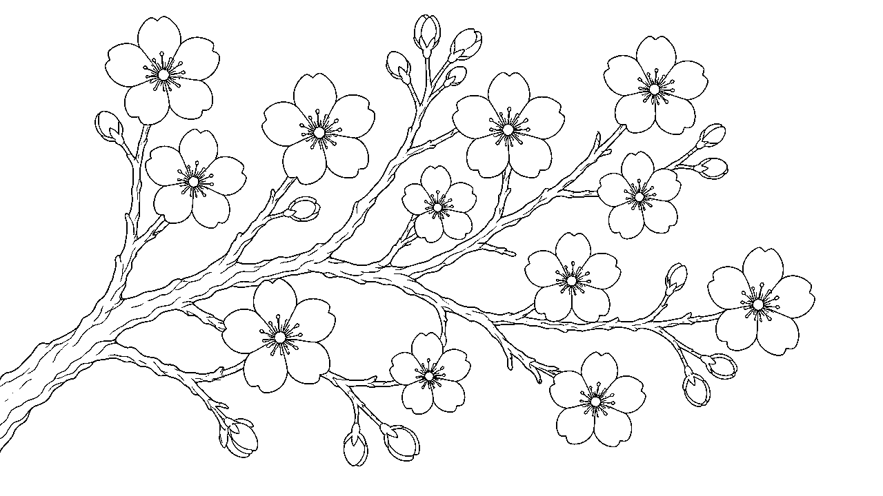 Cherry Blossom Branch