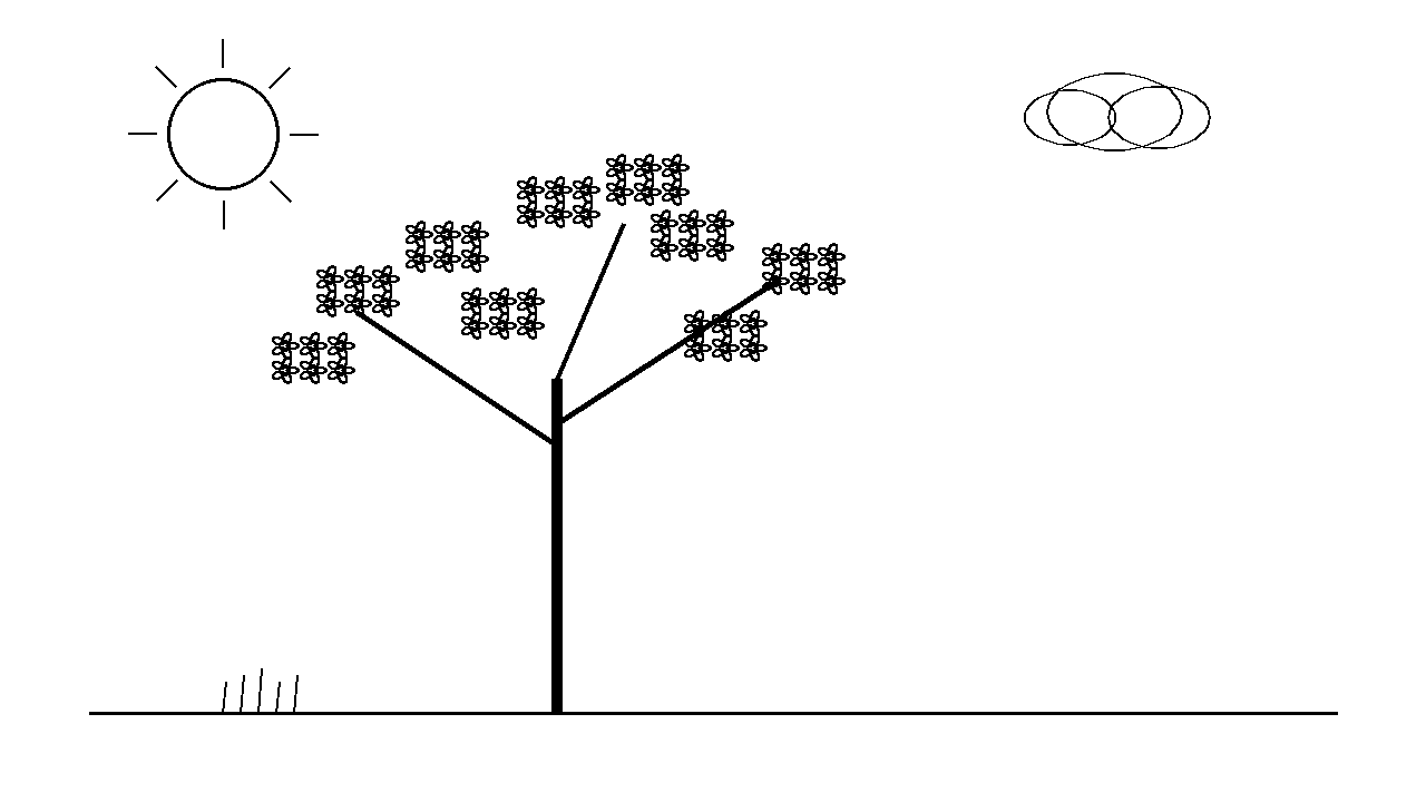 Cherry Blossom Tree Coloring Page