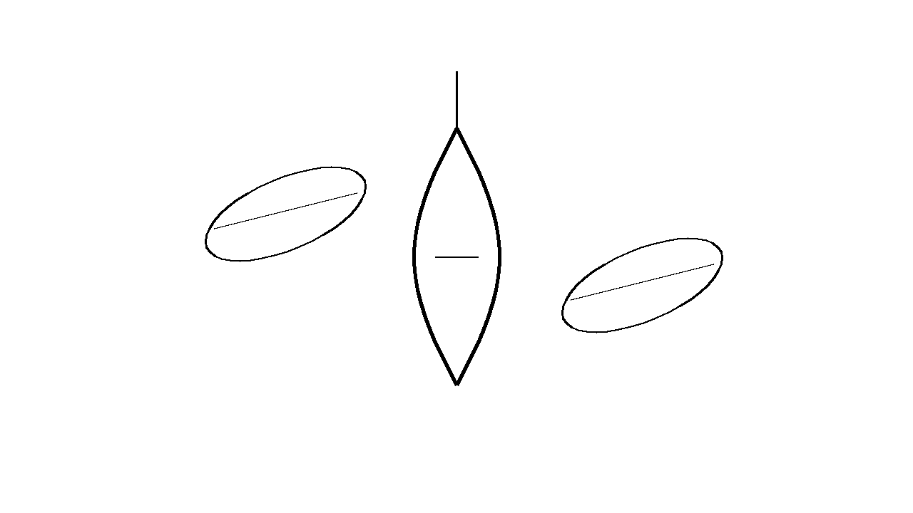 Chrysalis Butterfly Stage Coloring Page