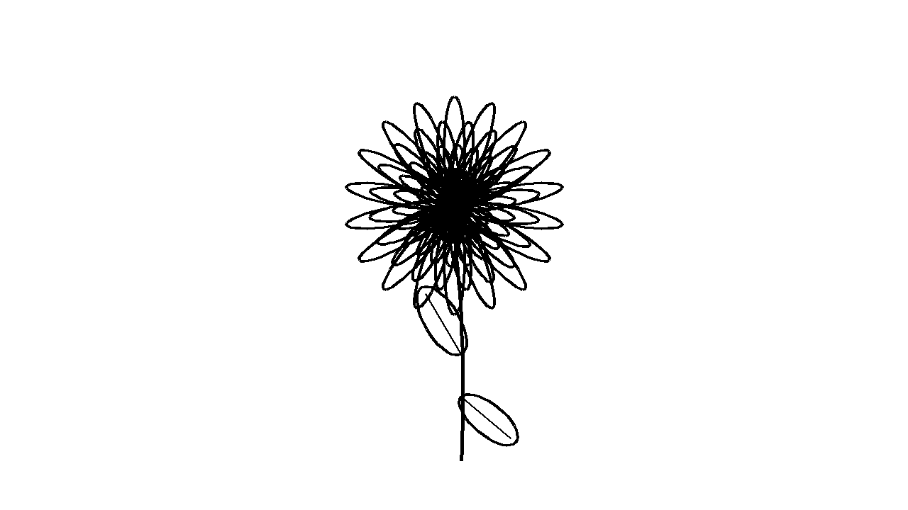 Chrysanthemum Petals