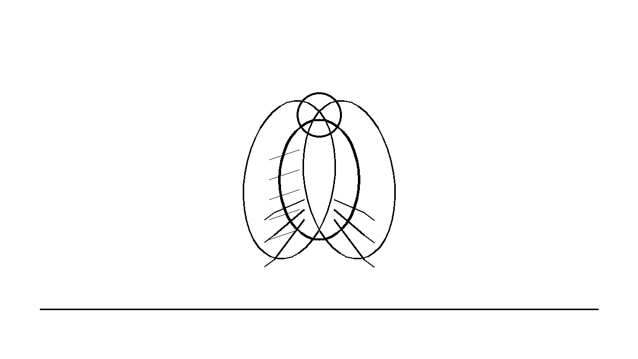 Cicada Summer Insect Coloring Page