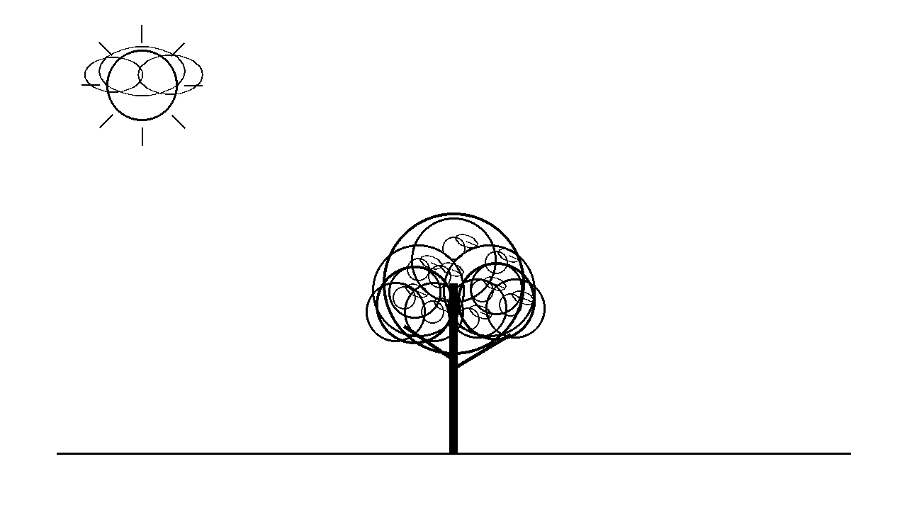 Citrus Fruit Tree Coloring Page