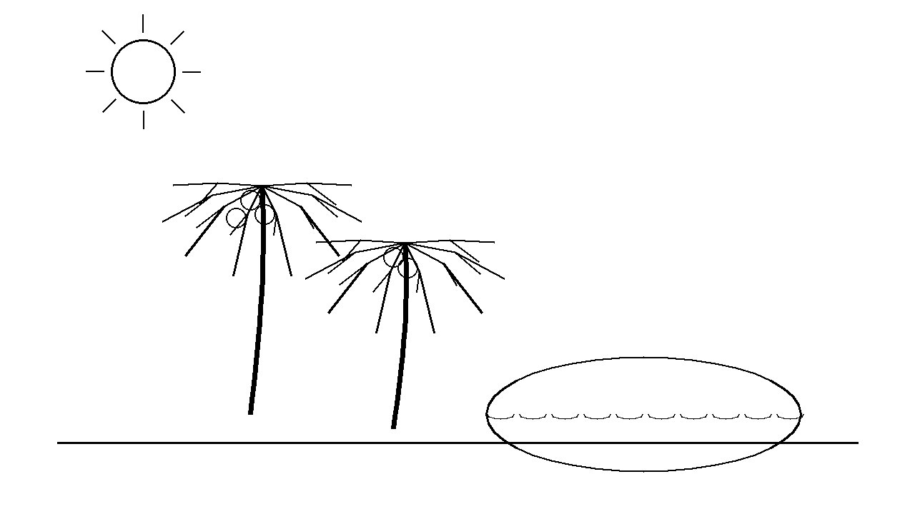 Coconut Palm Trees Coloring Page