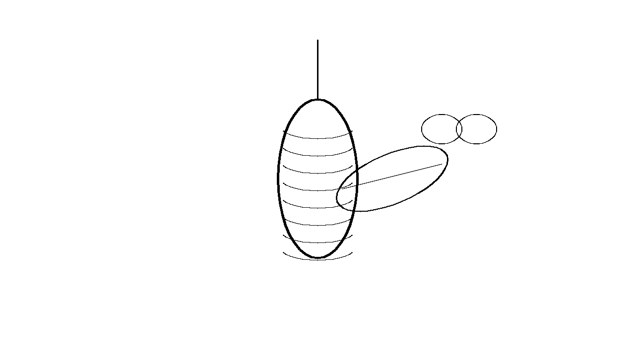 Cocoon Hanging Insect Coloring Page