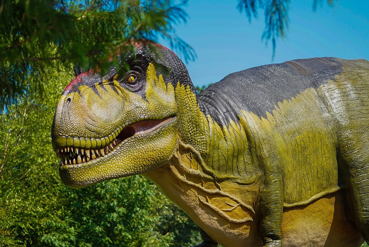 Dinosaur Outdoors