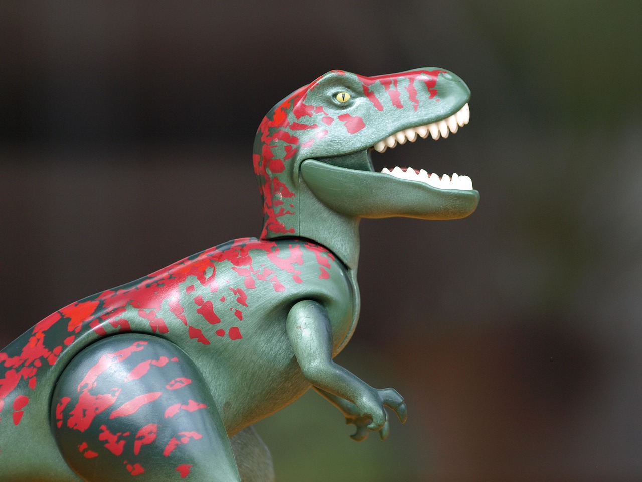 Colorful Toy Dinosaur