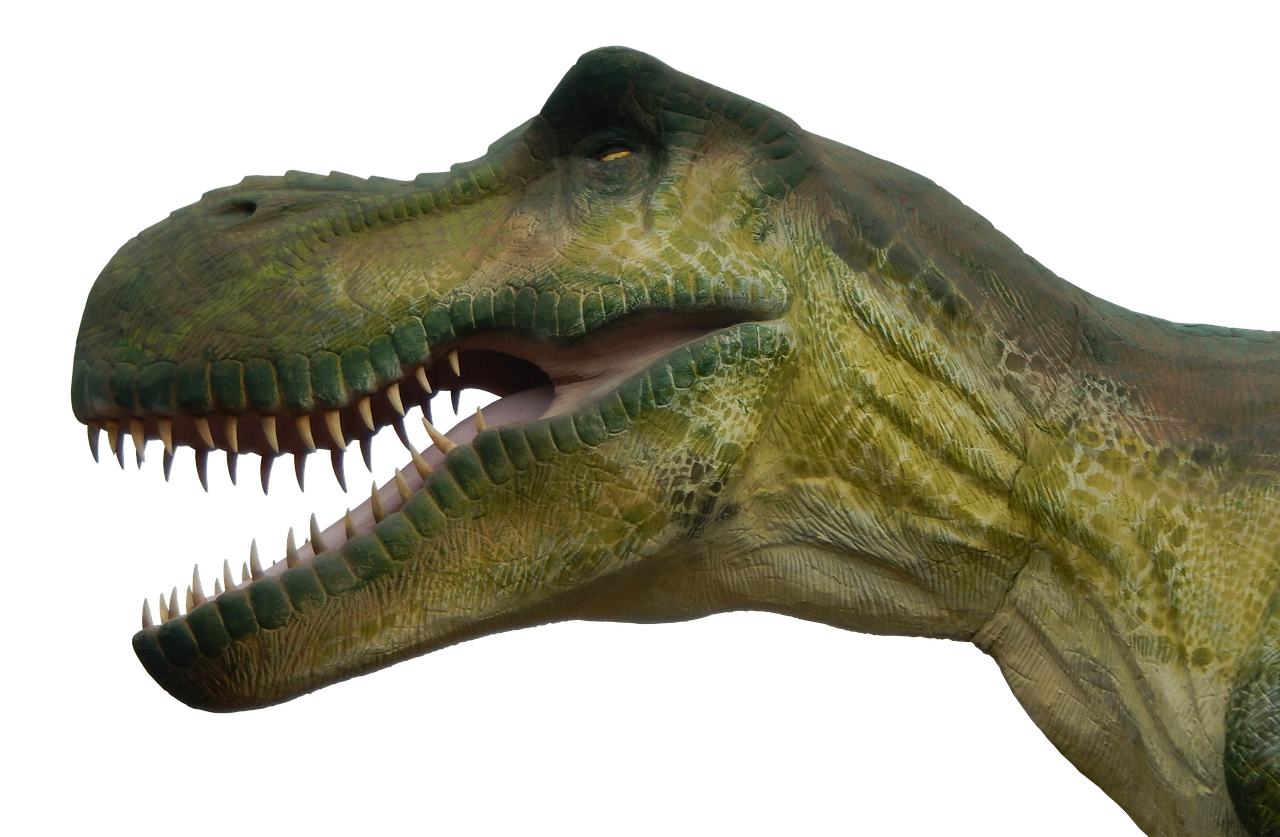 T-Rex Head