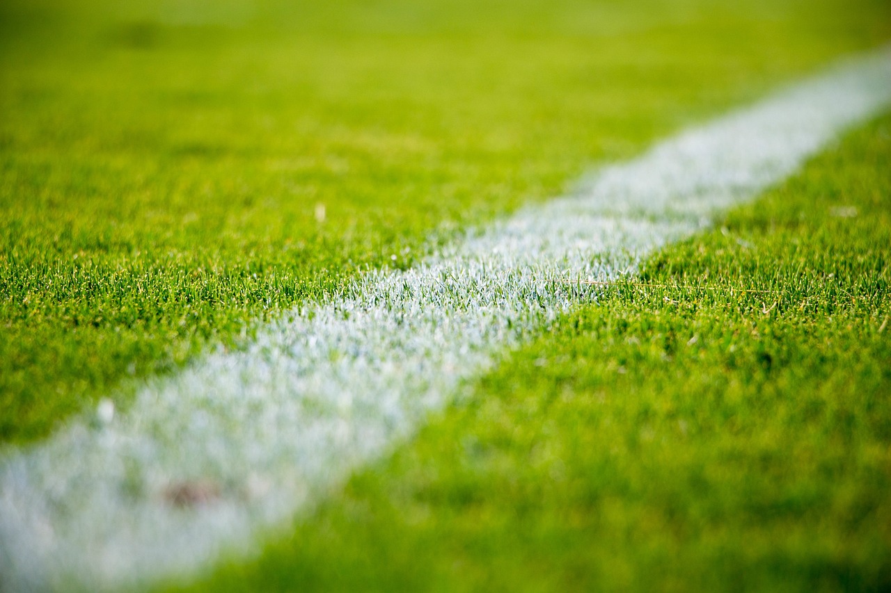 Soccer Field Line
