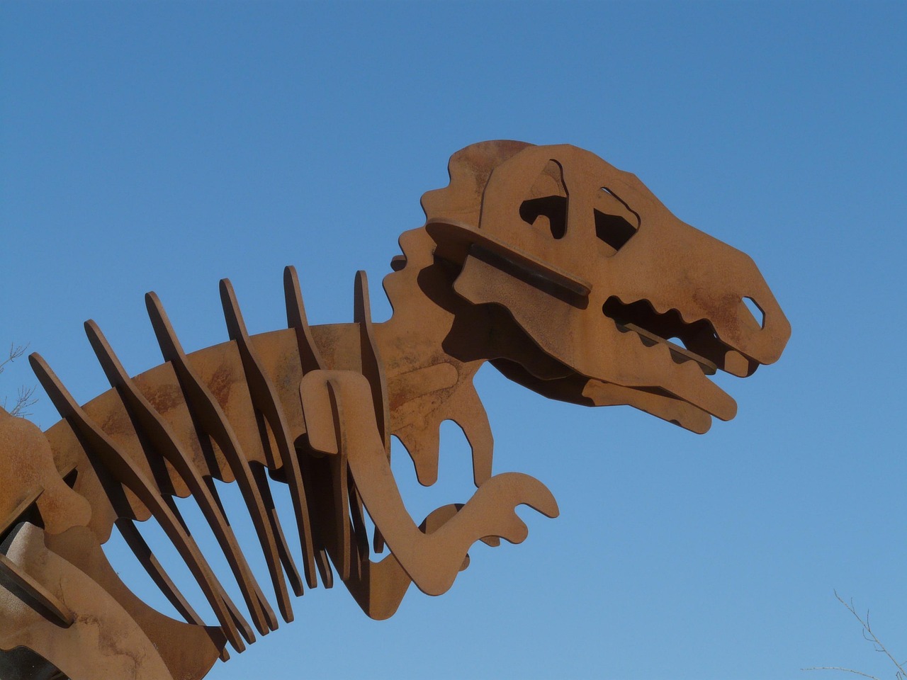 T-Rex Skeleton