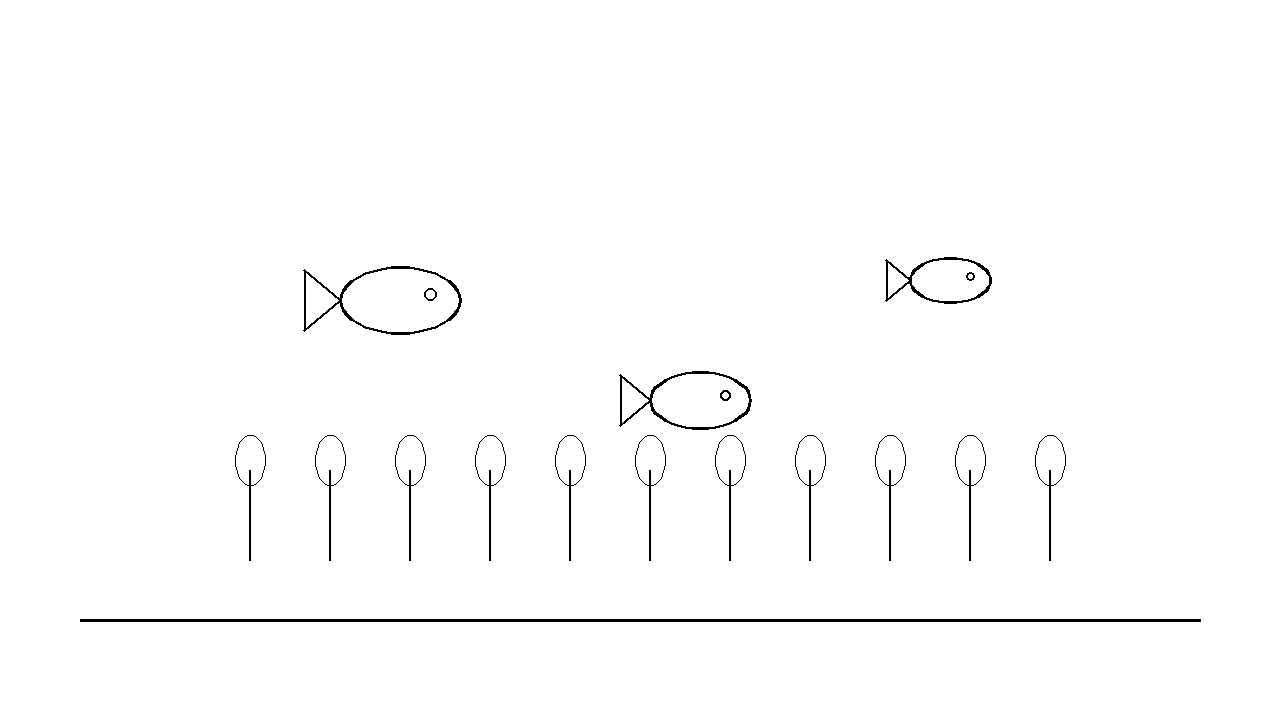 Coral Reef Fish Coloring Page