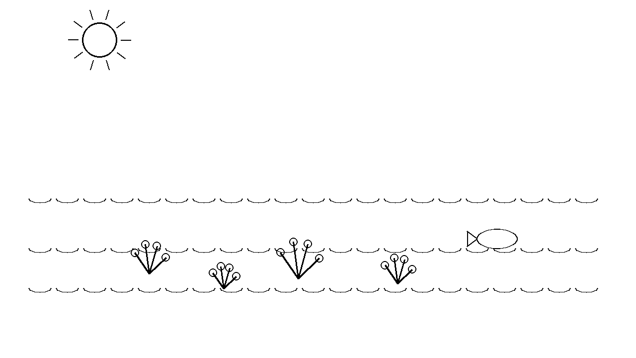 Coral Shore Pools Coloring Page