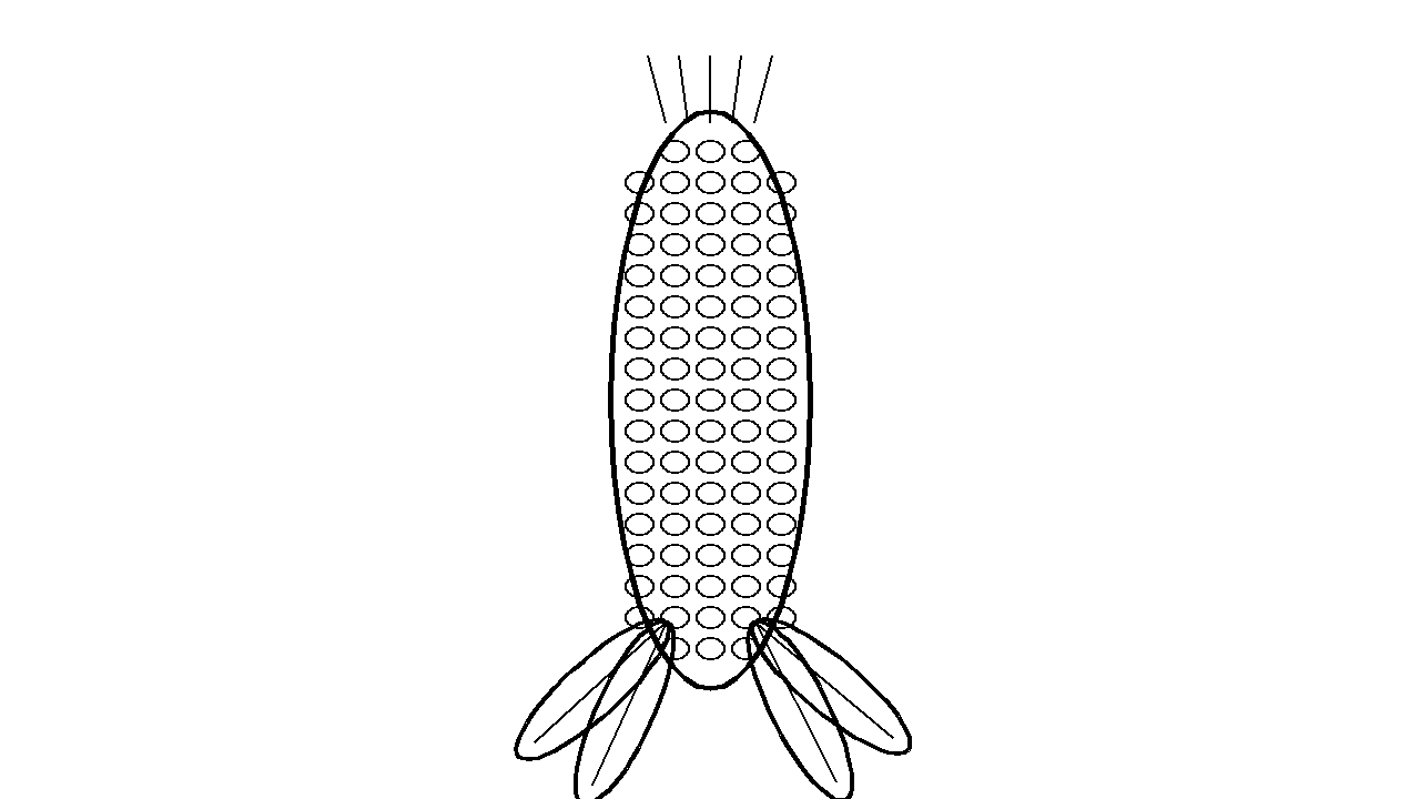 Corn On The Cob Coloring Page
