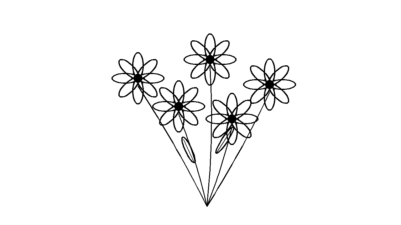 Cosmos Delicate Flower