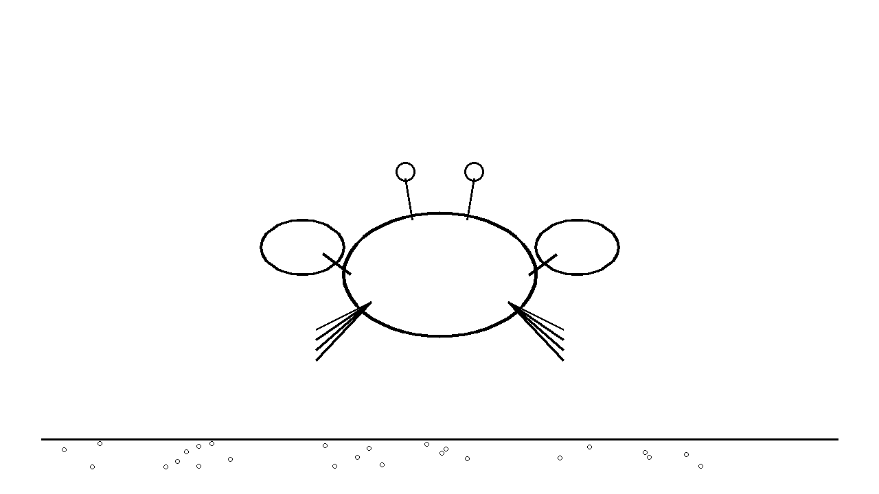 Crab Sideways Walk Coloring Page