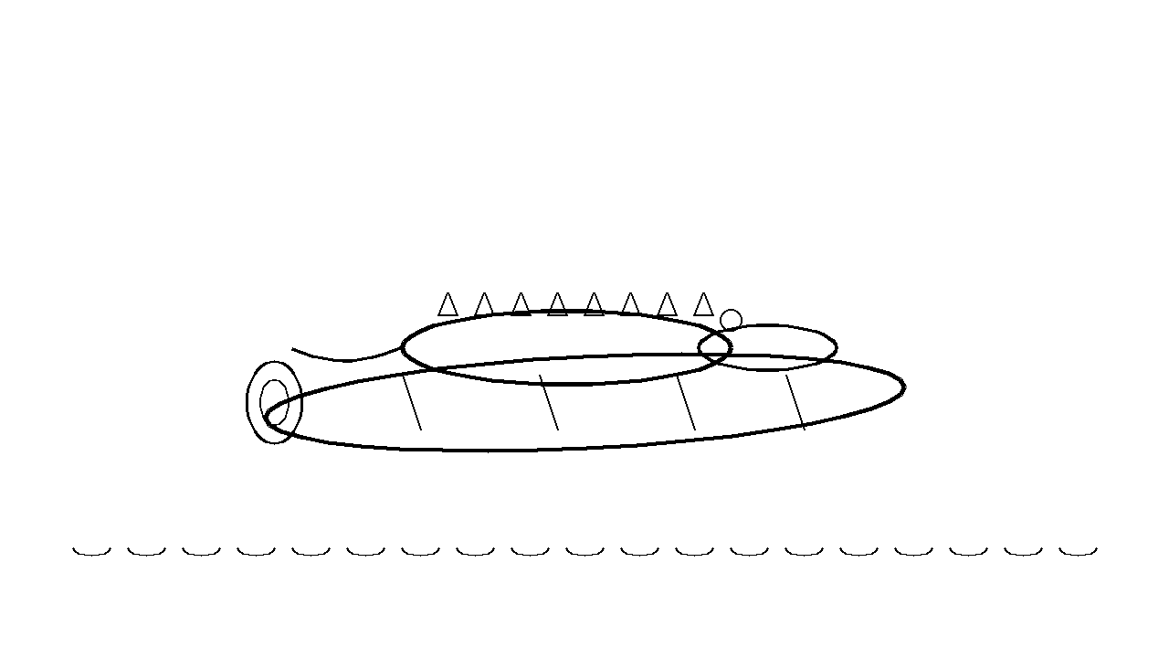 Crocodile And Log Coloring Page