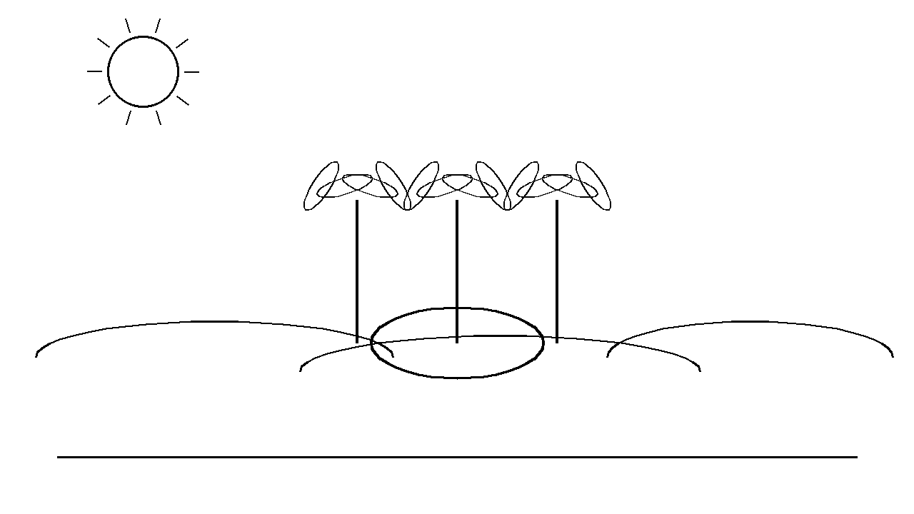 Desert Oasis Palms Coloring Page