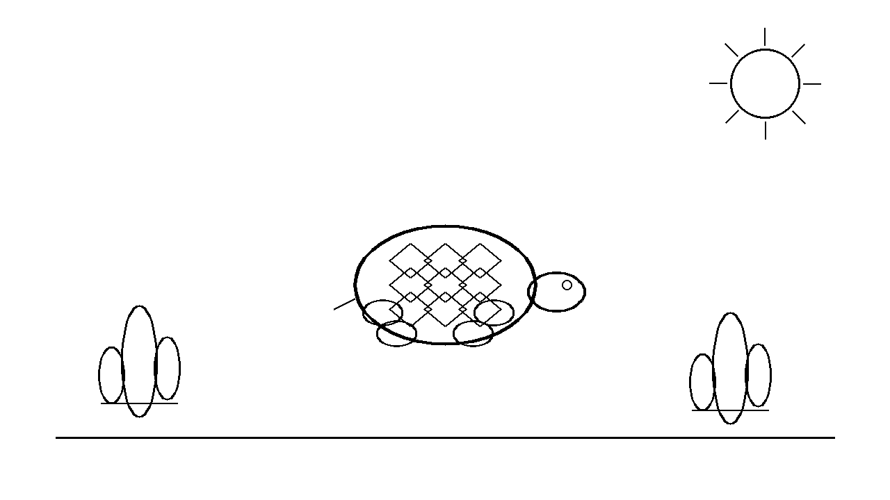 Desert Tortoise Coloring Page